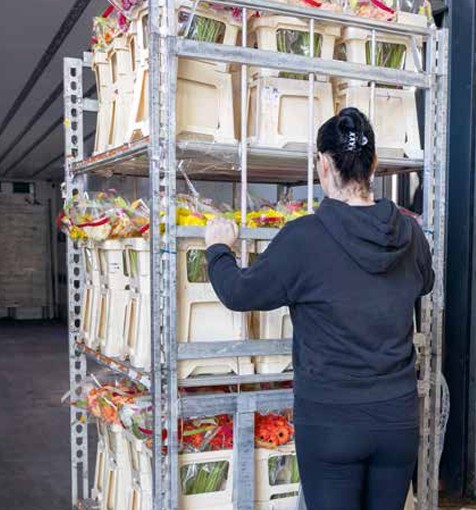 Aanpak Weerbare Sierteeltsector in Kas Magazine